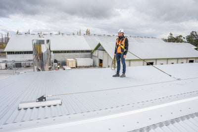 Fall Protection Systems and Design Options in 2025